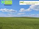 terreno-seminativo-irriguo-a-san-severo