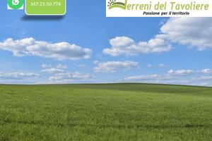 Terreno Seminativo Irriguo a San Severo