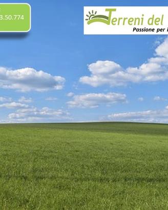 Terreno Seminativo Irriguo a San Severo
