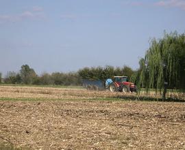 Terreno a Roncade (TV) - Musestre