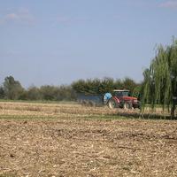 Terreno a Roncade (TV) - Musestre