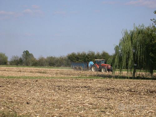 Terreno a Roncade (TV) - Musestre