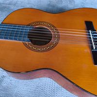 Chitarra acustica