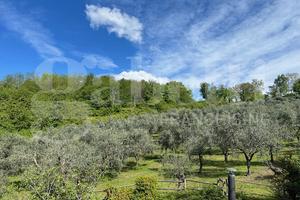 Terreno Residenziale Chiuduno