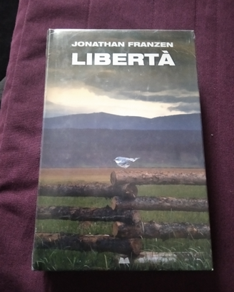 Jonathan Franzen: Libertà