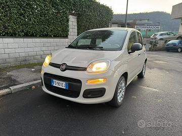 FIAT Panda 3ª serie Panda 1.2 EasyPower Easy