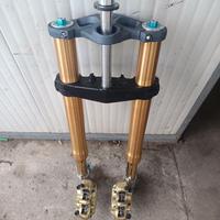 forcelle ohlins+ pinze brembo