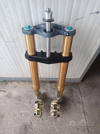 forcelle ohlins+ pinze brembo