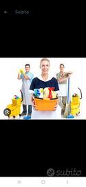 Pulizie Domestiche 