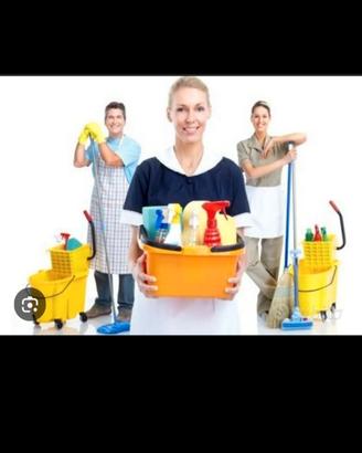 Pulizie Domestiche 