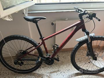bici Focus Whistler