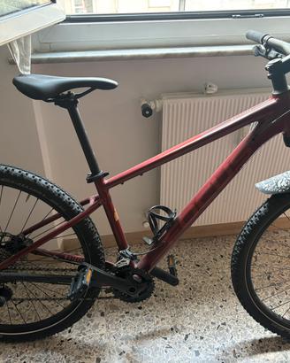 bici Focus Whistler