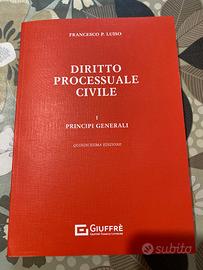 Manuale di diritto processuale civile - Luiso