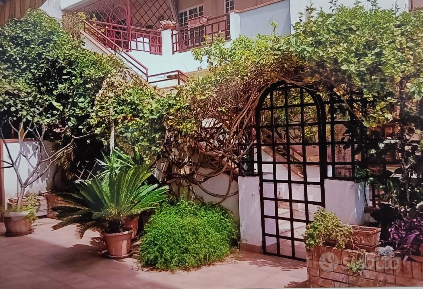 Appartamento - Letojanni - Vista 3