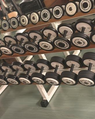 Palestra completa