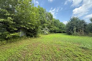 TER. AGRICOLO A MIRANO