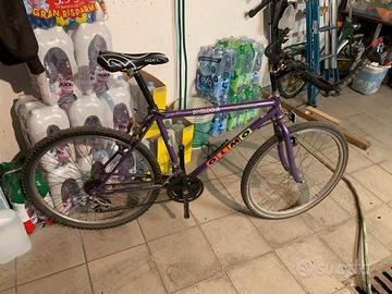 Bici MTB OLMO 24 velocità