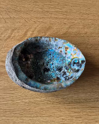 Conchiglia Abalone Grande