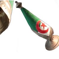 BANDIERA DECO ALGERIA ARGELIA IN RAME E TESSUTO