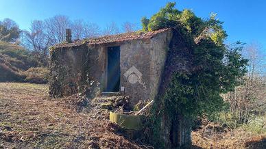 RUSTICO A PALESTRINA