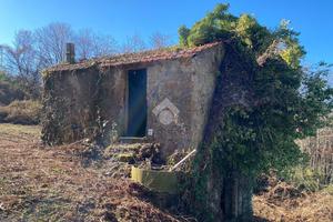 RUSTICO A PALESTRINA