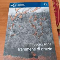 Luca Farina - Frammenti di Grazia. Libro Rarissimo