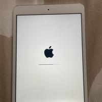 iPad mini 2