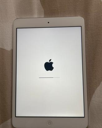 iPad mini 2