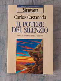 Carlos Castaneda " il potere del silenzio"