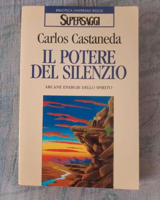 Carlos Castaneda " il potere del silenzio"