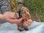 Immagine 1