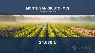 Immobile in asta di 17100 m² a Monte San Giusto