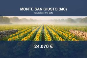 Immobile in asta di 17100 m² a Monte San Giusto