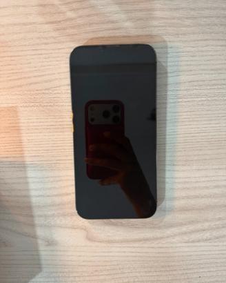 Iphone 13 promax