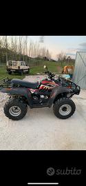 Quad linhai 300