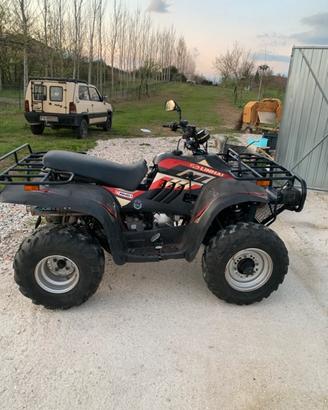 Quad linhai 300