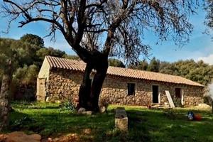 Antico stazzo gallurese