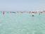 Immagine 12