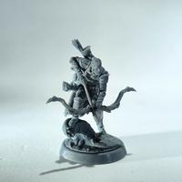 pedina giocatore: umano ranger