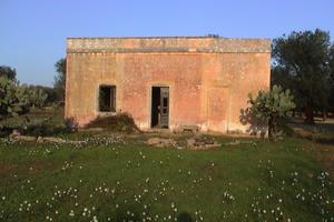 Terreno con rustico
