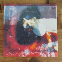 Mogwai - As The Love Continues Vinile