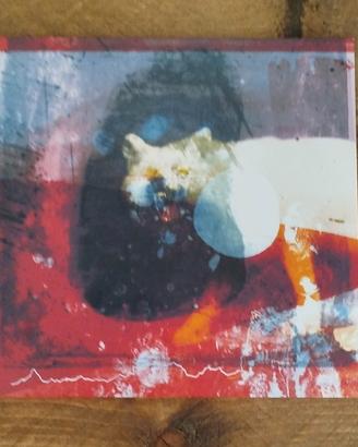 Mogwai - As The Love Continues Vinile