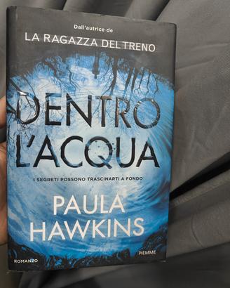 La ragazza del treno 
