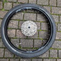 ruote 29 dt swiss e 27.5 