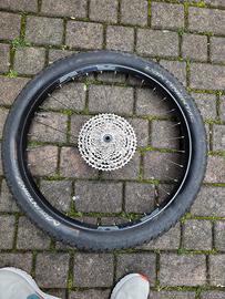 ruote 29 dt swiss e 27.5 