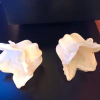 Due Coppe in vetro per lampade 