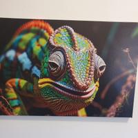 Tela 60x40 intelaiata