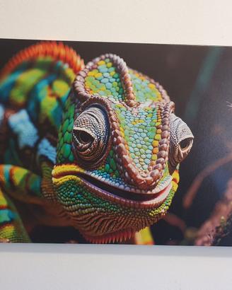 Tela 60x40 intelaiata