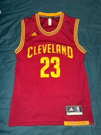 Maglietta adidas cleveland James