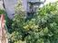 Immagine 25